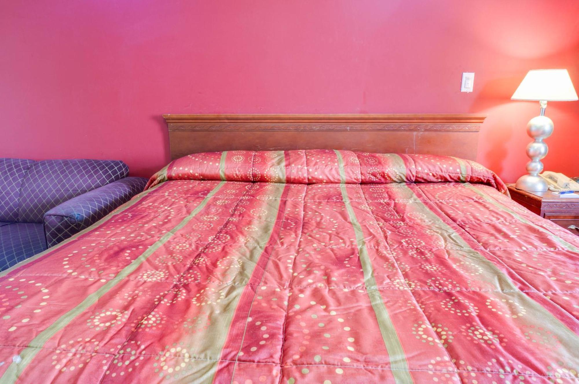 Sky Palm Motel - Orange Phòng bức ảnh